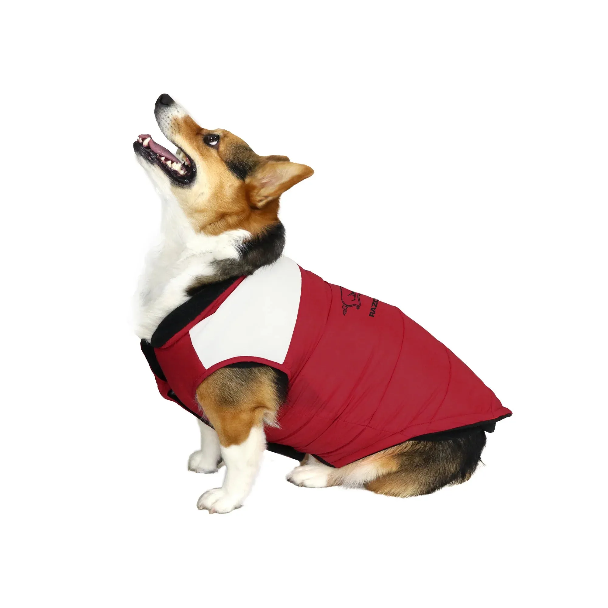 AR Razorbacks Parka Puff Vest