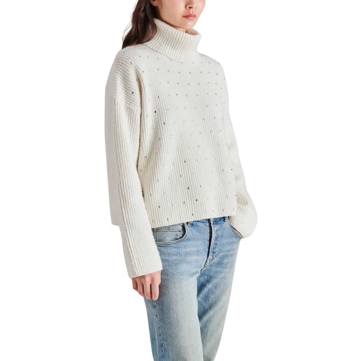 Steve Madden Astro Sequin Turtle Neck Sweater